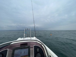 ハマチごときに浮足立つ