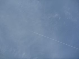 何か理由をつけて