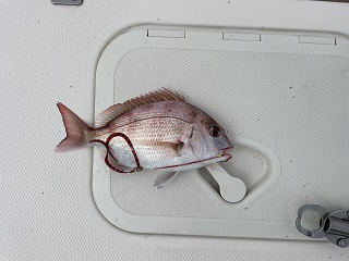 変えてみるもんだ