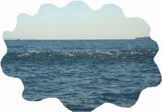 沸くか 沸かぬか