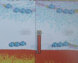 張るか たるむか
