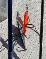 逆転! ナブラ撃ち