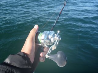 逆転! ナブラ撃ち