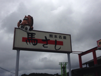 馬刺しで乾杯