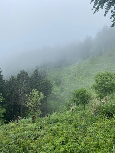 さくっと小仏城山
