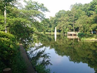 石神井公園　＠2017/05/30　晴天　気温22℃