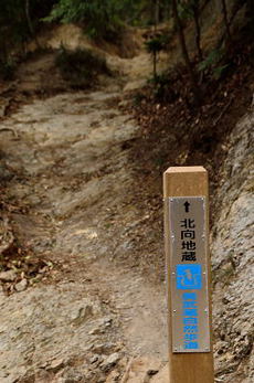 奥武蔵縦走1　日和田山からユガテ