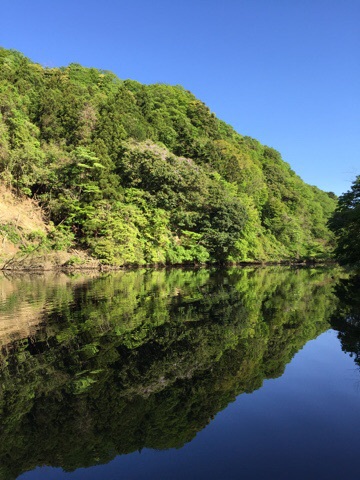 亀山ダム 5月1日