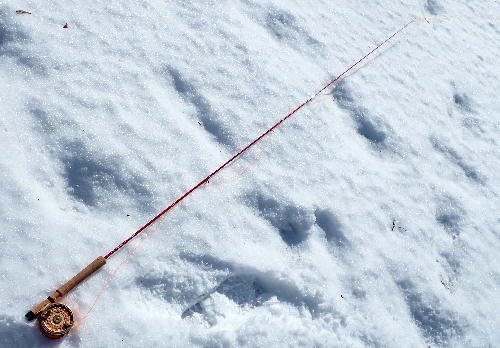 1月末、冬季ニジマス釣り場での悲劇：釣れたフライ