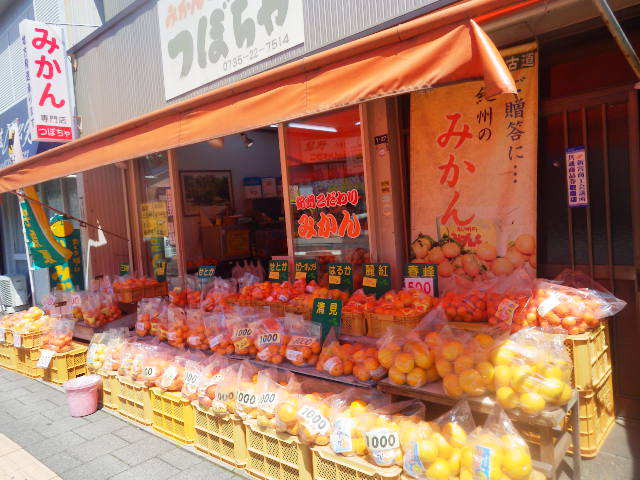 2019GW和歌山編･act.1平成最後に出会えた魅惑のオレンジ