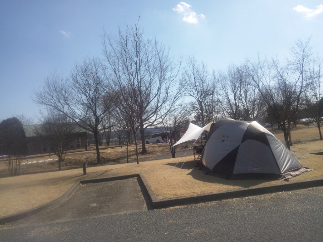 公園キャンプ第２弾【出会いの森総合公園AC】Strawberry Fields Forever 後編