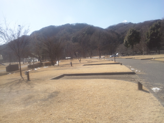 公園キャンプ第２弾【出会いの森総合公園AC】Strawberry Fields Forever 後編