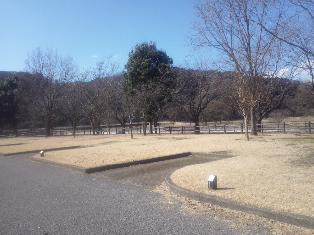 公園キャンプ第２弾【出会いの森総合公園AC】Strawberry Fields Forever 後編