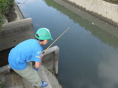 タナゴ釣り