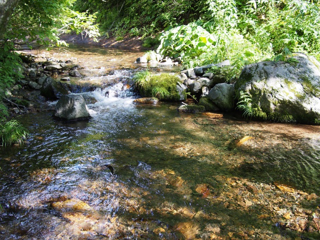 早くも秋を感じる野営場