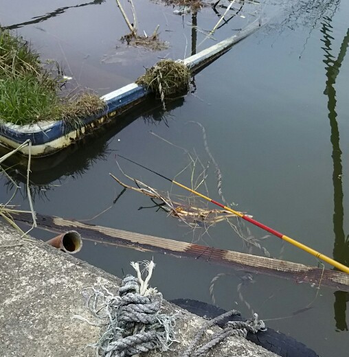 久しぶりに霞ヶ浦へ・・・