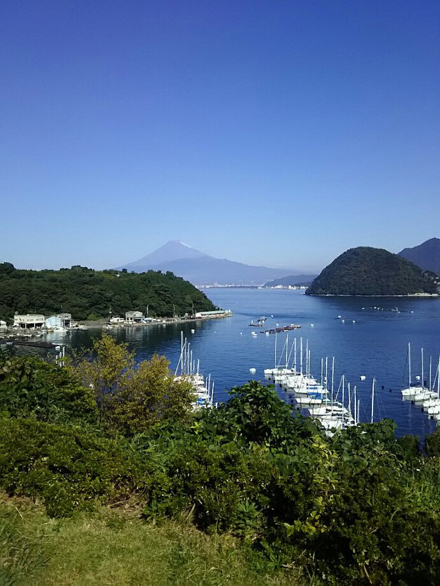 海からの富士山！？