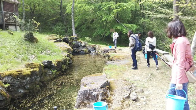 釣行 ゴールデンウィーク アメゴ釣り