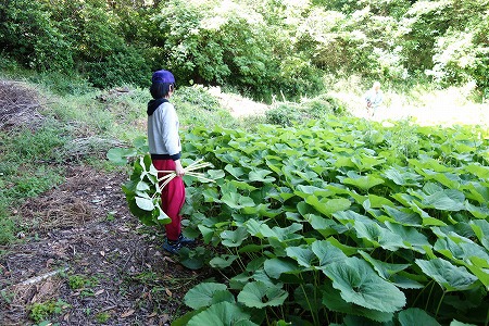 横須賀じいじの家でアウトドア気分満喫