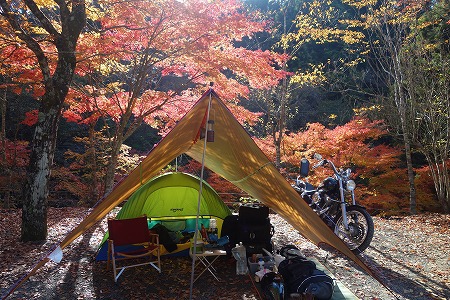 道志の森でノルウェイの森　2016紅葉ソロキャンプ　その１