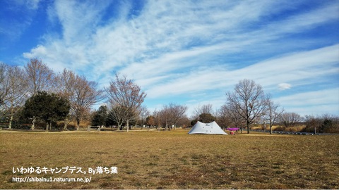 2019/1/26【彩湖道満グリーンパーク】