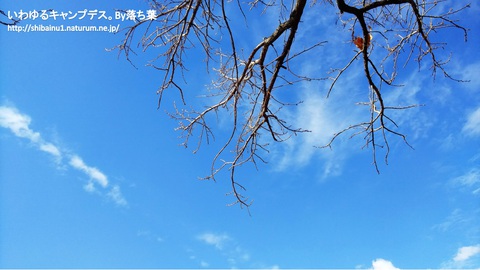 2019/1/26【彩湖道満グリーンパーク】