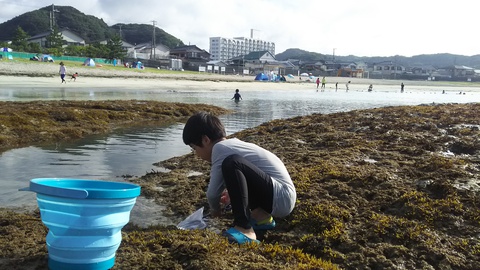 【興津海水浴場】2017.7.22