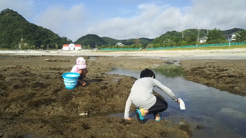 【興津海水浴場】2017.7.22