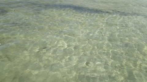 【興津海水浴場】2017.7.22