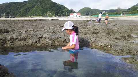 【興津海水浴場】2017.7.22