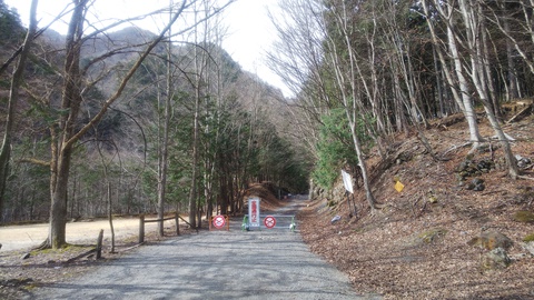 【秩父渓流釣り】2020年3月7日