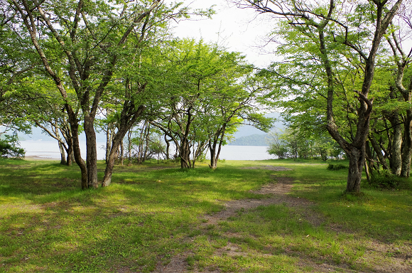 【菖蒲ヶ浜キャンプ場】2016年5月28日