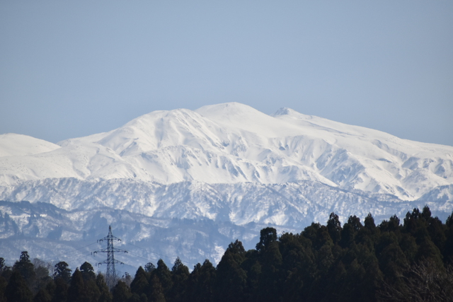 春の木場潟サイクリング 春の木場潟サイクリング