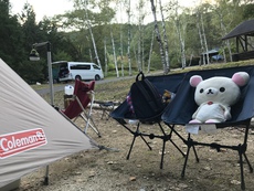 棚板　塗ってみた♪