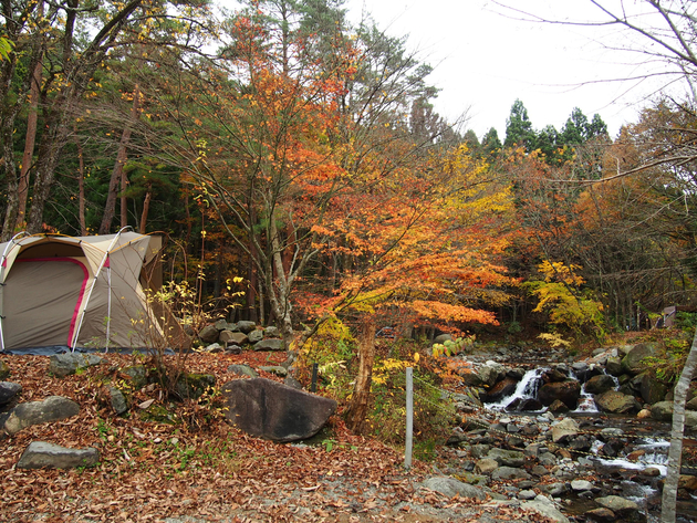 道志の森キャンプ場 〜 紅葉出遅れソロキャンプ