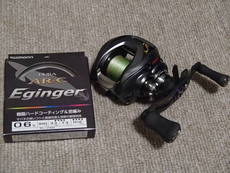 17スティーズA TW + DURA AR-C Eginger