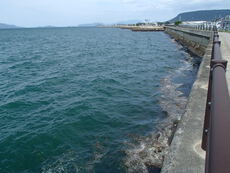 大雨後の釣況