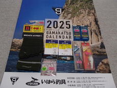 徳島シーバスフェスティバル2024初参加