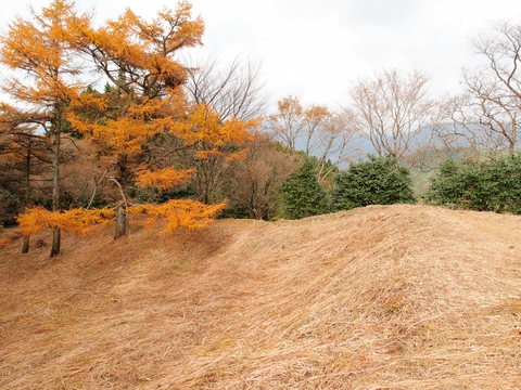 【滝ツー】箱根：千条の滝からの浅間山～鷹巣山ハイキング