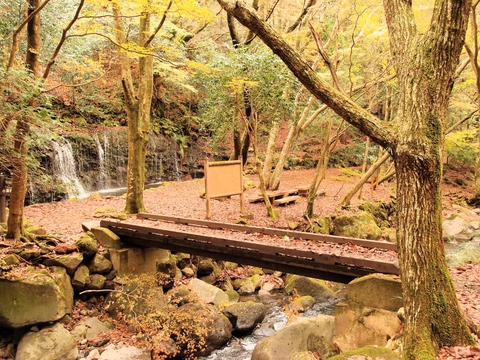 【滝ツー】箱根：千条の滝からの浅間山～鷹巣山ハイキング