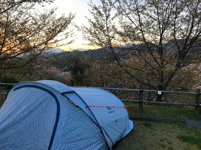 石鎚山ハイウェイオアシスキャンプ場(お花見キャンプ)~ 石鎚山ハイウェイオアシスキャンプ場(お花見キャンプ)~