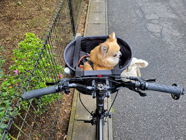 自転車のハンドル交換、いろいろとやってみた＜フレアハンドル