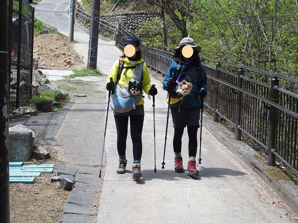 御岳山・日の出山へ犬連れマイカー登山