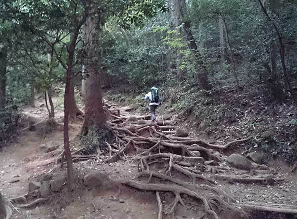 ゴールデンウィークの筑波山は「山だけ雨という状態でした」＜Oboz(オボズ)トラバースミッドデビュー＞