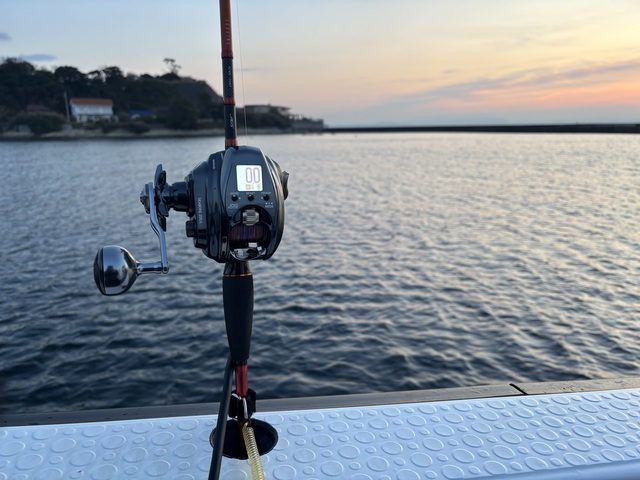 東京湾太刀魚