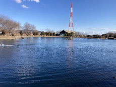 浮けないときは〜