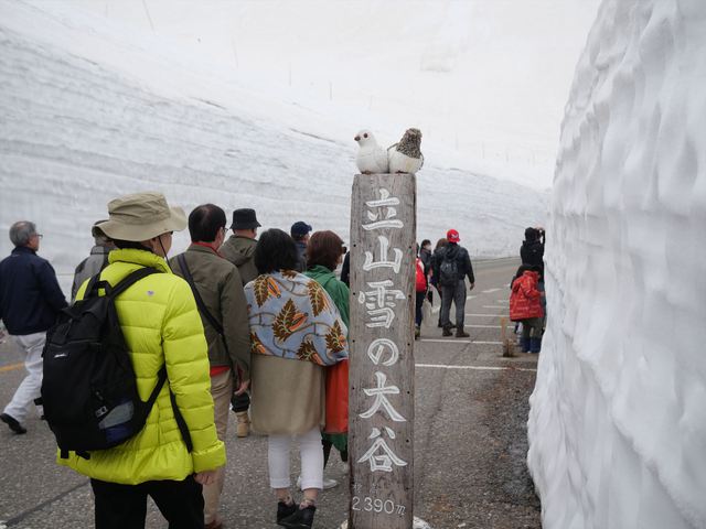 初老二人の備忘録 立山黒部アルペンルート