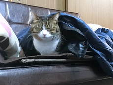 レッツ・・・受け入れなくては、、、