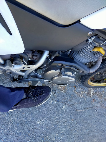 レッツ・・・林道発見！？