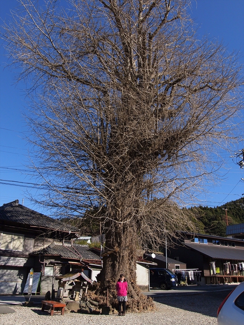 てんてんゴーしぶ川　施設及び周辺紹介